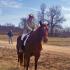Foxhunters Go Field Trialing